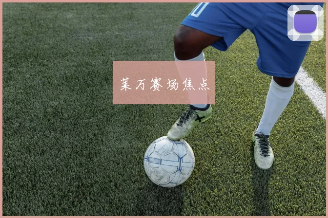 莱万赛场焦点