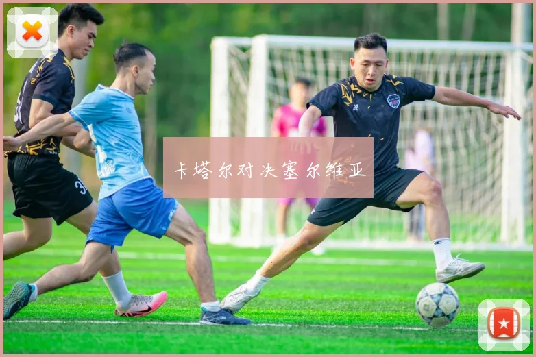 卡塔尔对决塞尔维亚