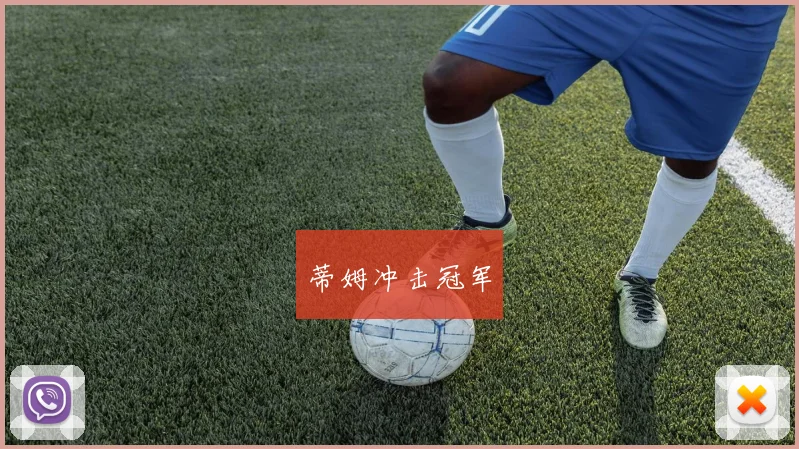 蒂姆冲击冠军