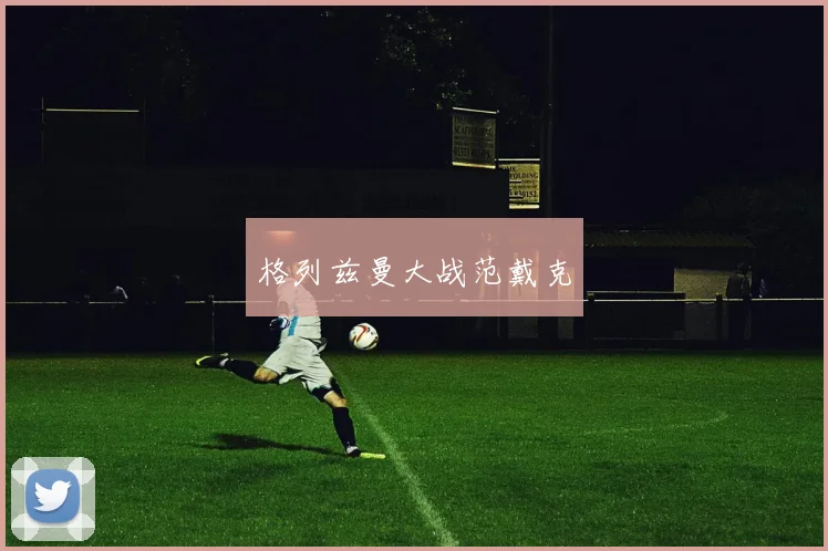 格列兹曼大战范戴克