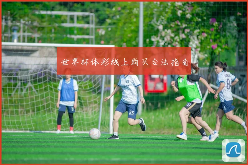 世界杯体彩线上购买合法指南