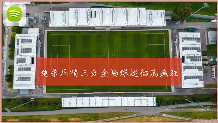 绝杀压哨三分全场球迷彻底疯狂