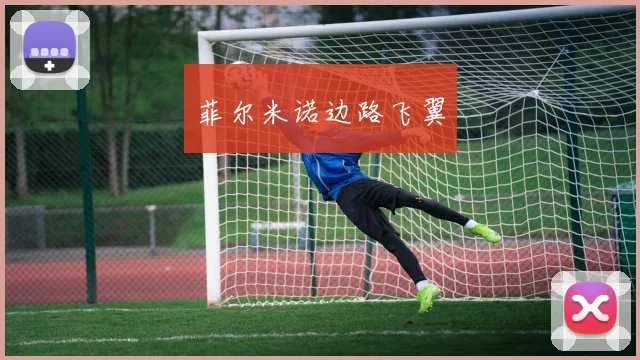 菲尔米诺边路飞翼