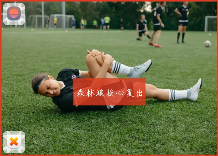 森林狼核心复出
