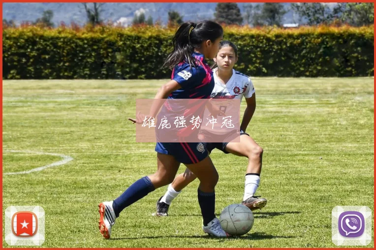雄鹿强势冲冠