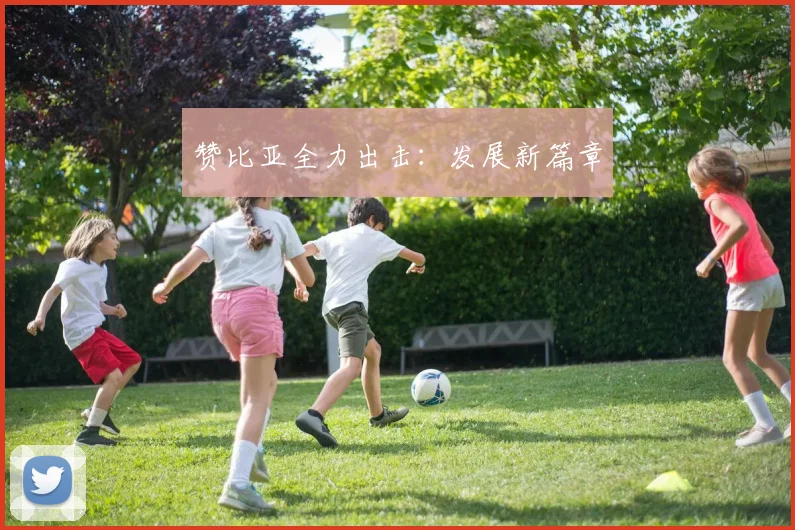 赞比亚全力出击：发展新篇章