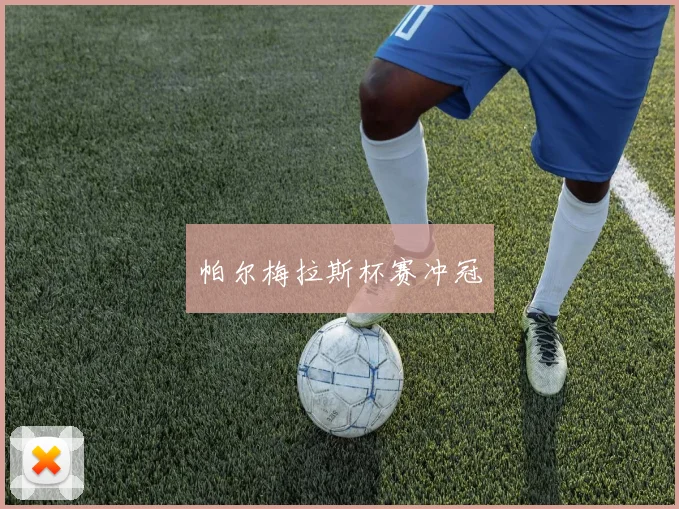 帕尔梅拉斯杯赛冲冠