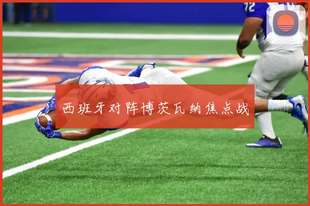 西班牙对阵博茨瓦纳焦点战