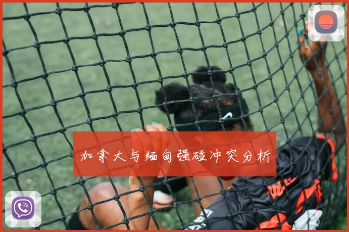 加拿大与缅甸强碰冲突分析