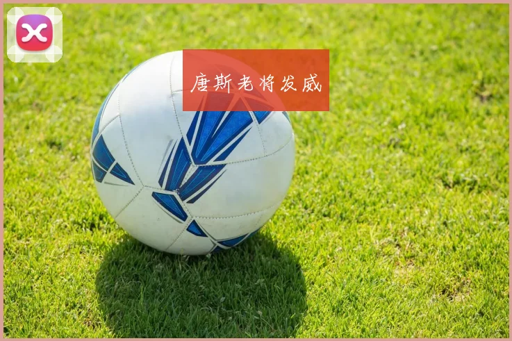 唐斯老将发威