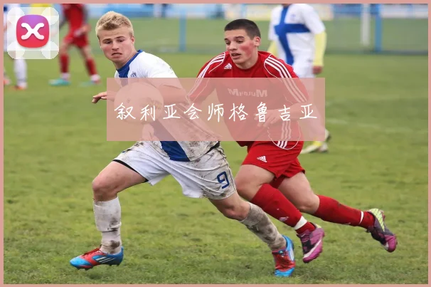 叙利亚会师格鲁吉亚